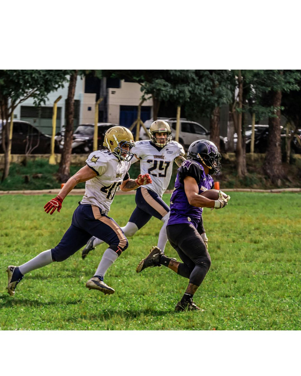 A Rookie's Field Guide - Understand the Game of Football