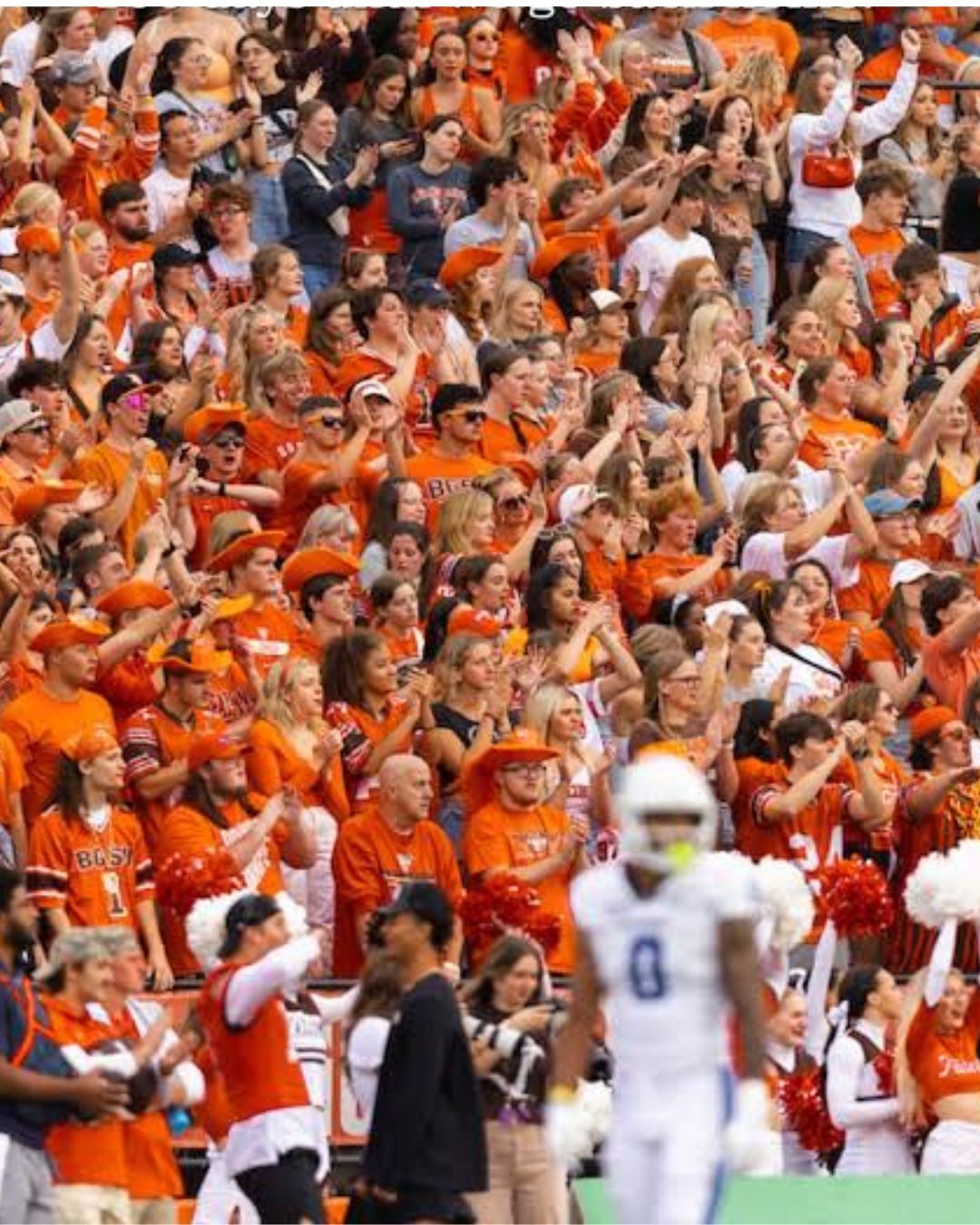 A Rookie's Field Guide - Understand the Game of Football