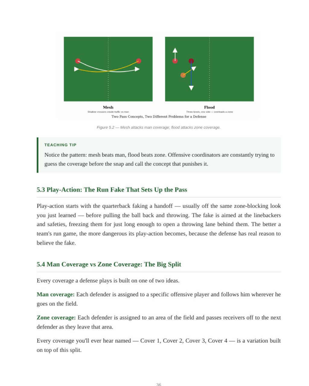 A Rookie's Field Guide - Understand the Game of Football