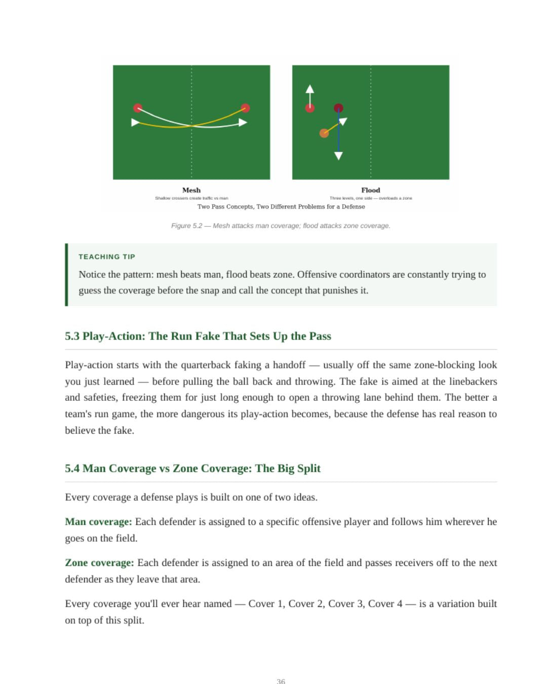 A Rookie's Field Guide - Understand the Game of Football